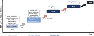 From Therapy Resistance to Targeted Therapies in Prostate Cancer